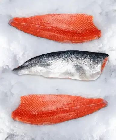 Fish fillets on ice