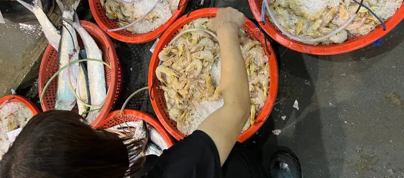 Baskets of prawns and fish on ice being sorted at the stall