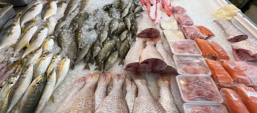 Whole fish, fillets and salmon laid out on ice at the Tansofresh market stall